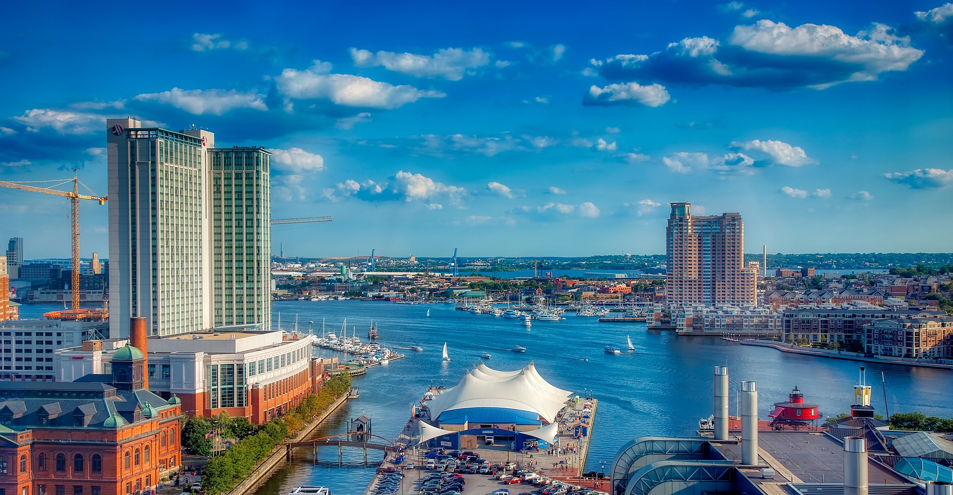 top estate sale companies in Baltimore